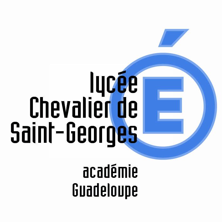 Formation Sep Lpo Chevalier De Saint Georges